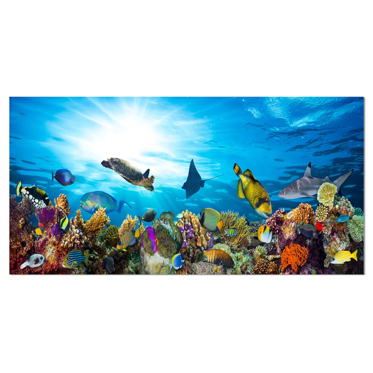 Designart - Colorful Coral Reef with Fishes - Seascape Canvas Art Print